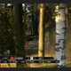 Illustration for article titled Finally, You Can Watch the WRC Live Anywhere! (Legally!)